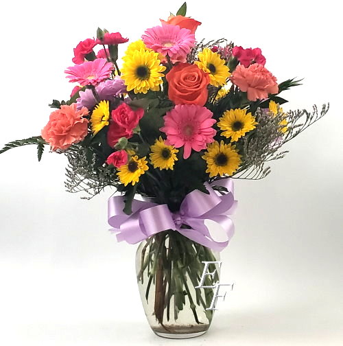 Gerbera Garden EF 007