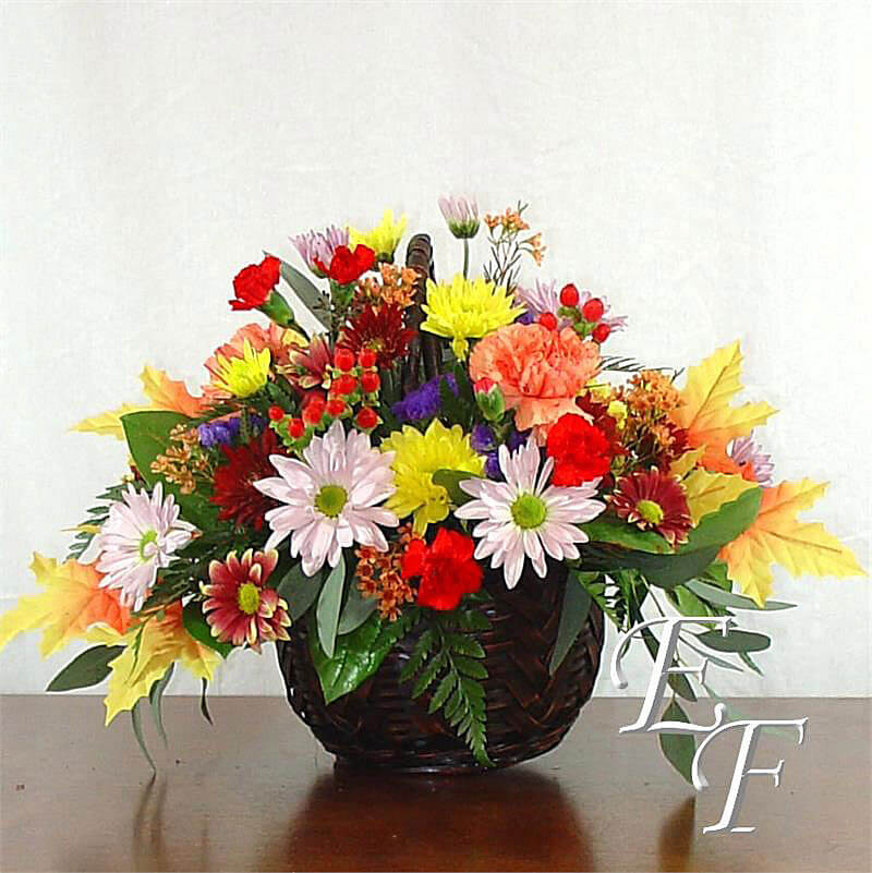 Autumn Blooms EF-405