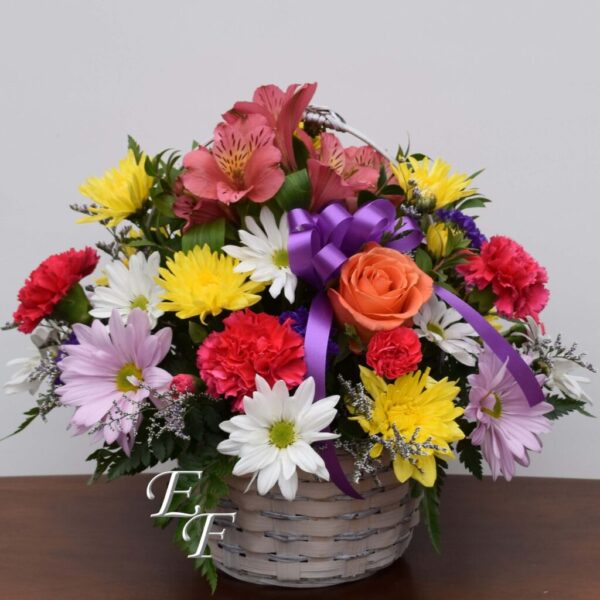 Colorful Basket  EF-310