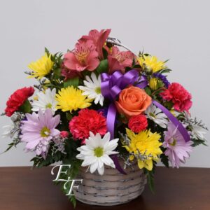 Colorful Basket  EF-310