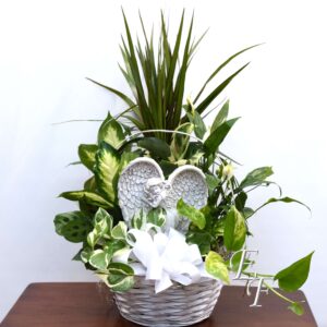 Angel Plaque Planter  EF 061