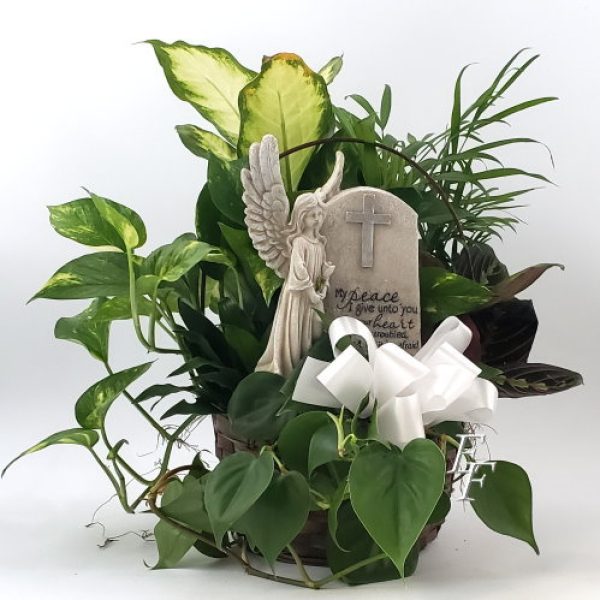 My Peace Planter  EF 067