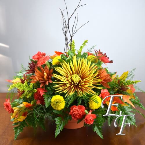 A Touch of Fall EF 419