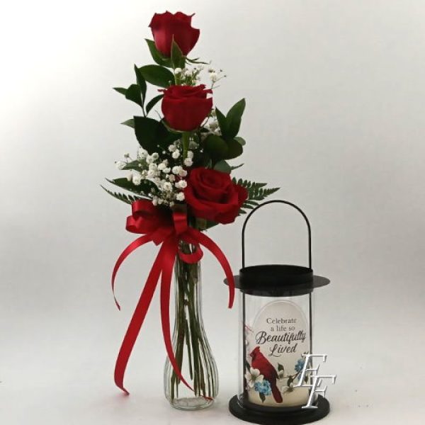 Life Beautifully Lived EF 155