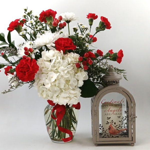 Angels Appear EF 156