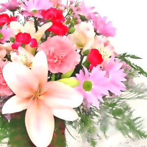 Designers Choice EF 022