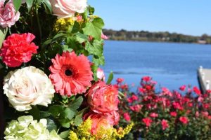 FB_IMG_1572098664160