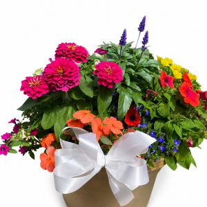 Large Bedding Garden