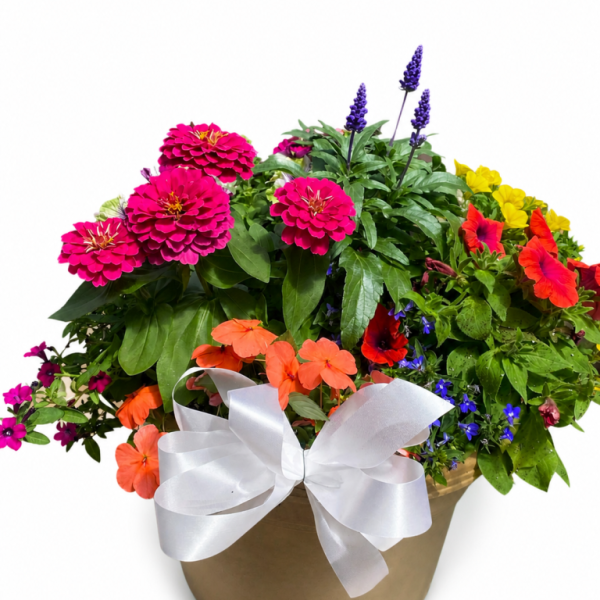 Large Bedding Garden
