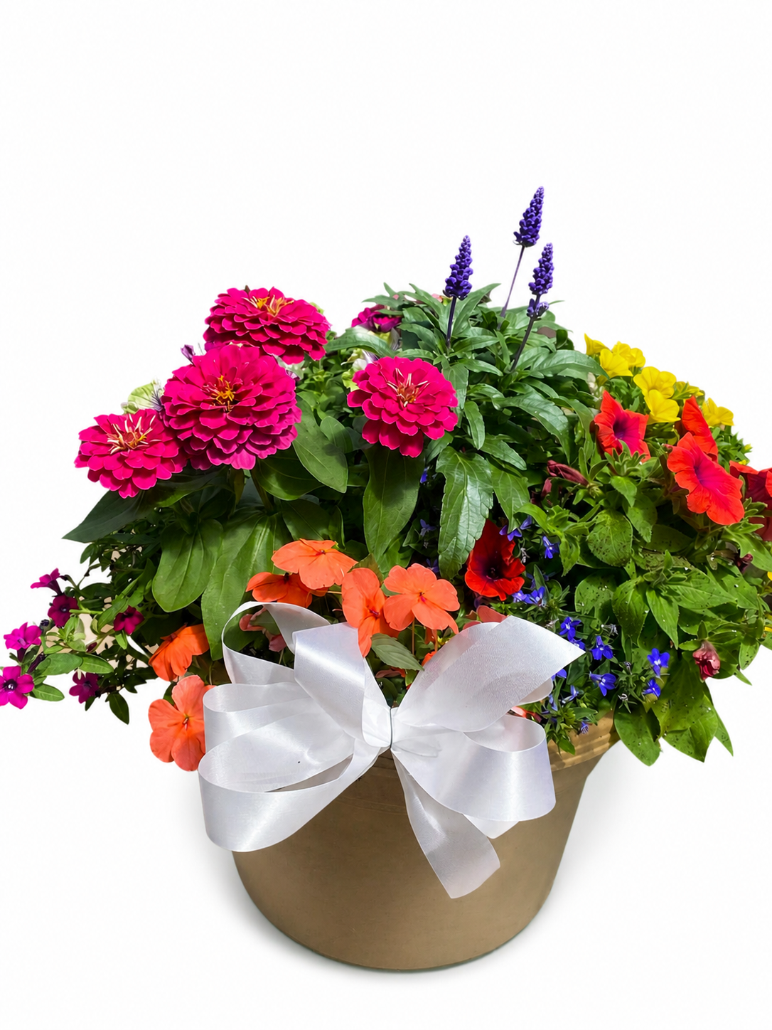 Large Bedding Garden