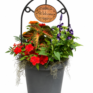 "Welcome" Garden